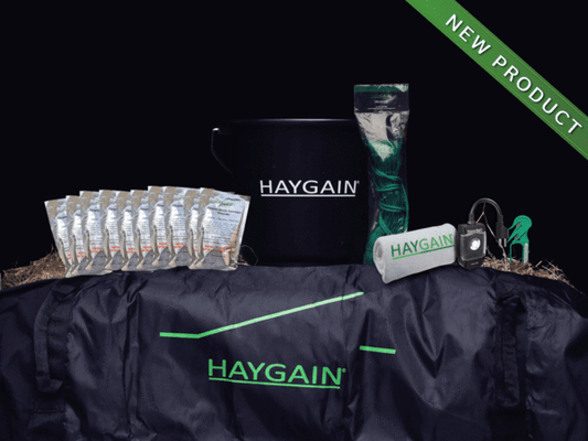 Hay Steaming Starter Pack Joins the Haygain Line-Up