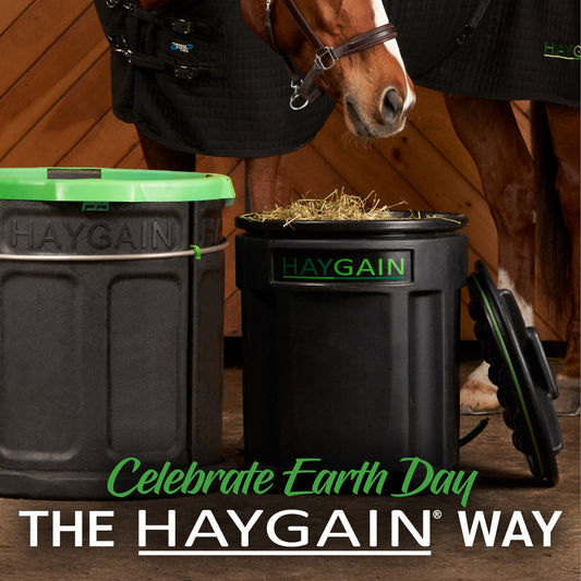 Haygain Can Help Lessen Our Horse’s Environmental Hoof Print