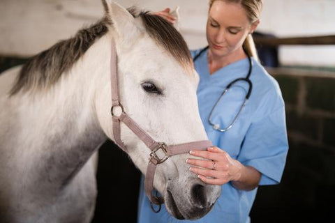 Respiratory problems in horses: Part 2
