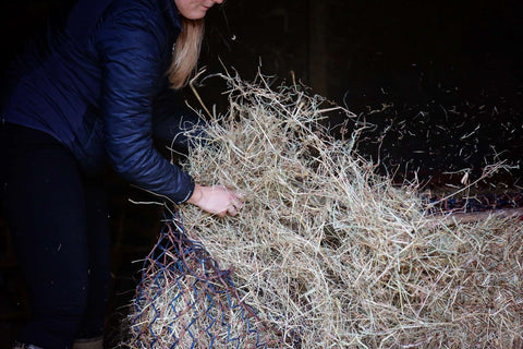 It’s not just horses at risk from hay…what about your lungs?!