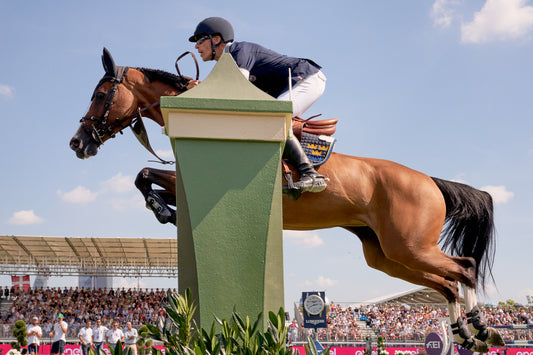 World leading show jumper steams his horses’ hay for purely preventative reasons.