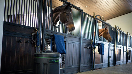 World Championships-Bound Jumper Considers Elite Equine Athlete Care As Important As Training
