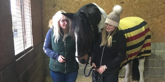 UK Testimonial:  ComfortStall flooring and Haygain steamed hay, the perfect combination for happy horses.
